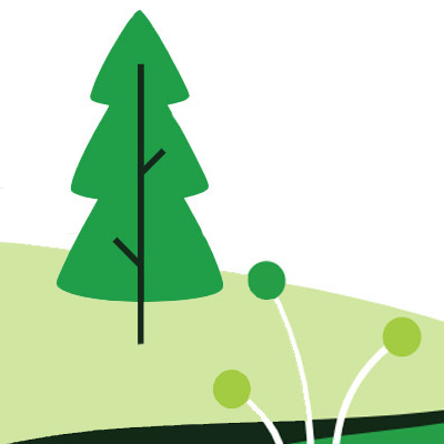forest-feature