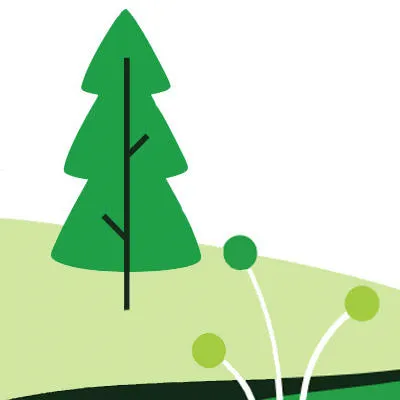 forest-feature