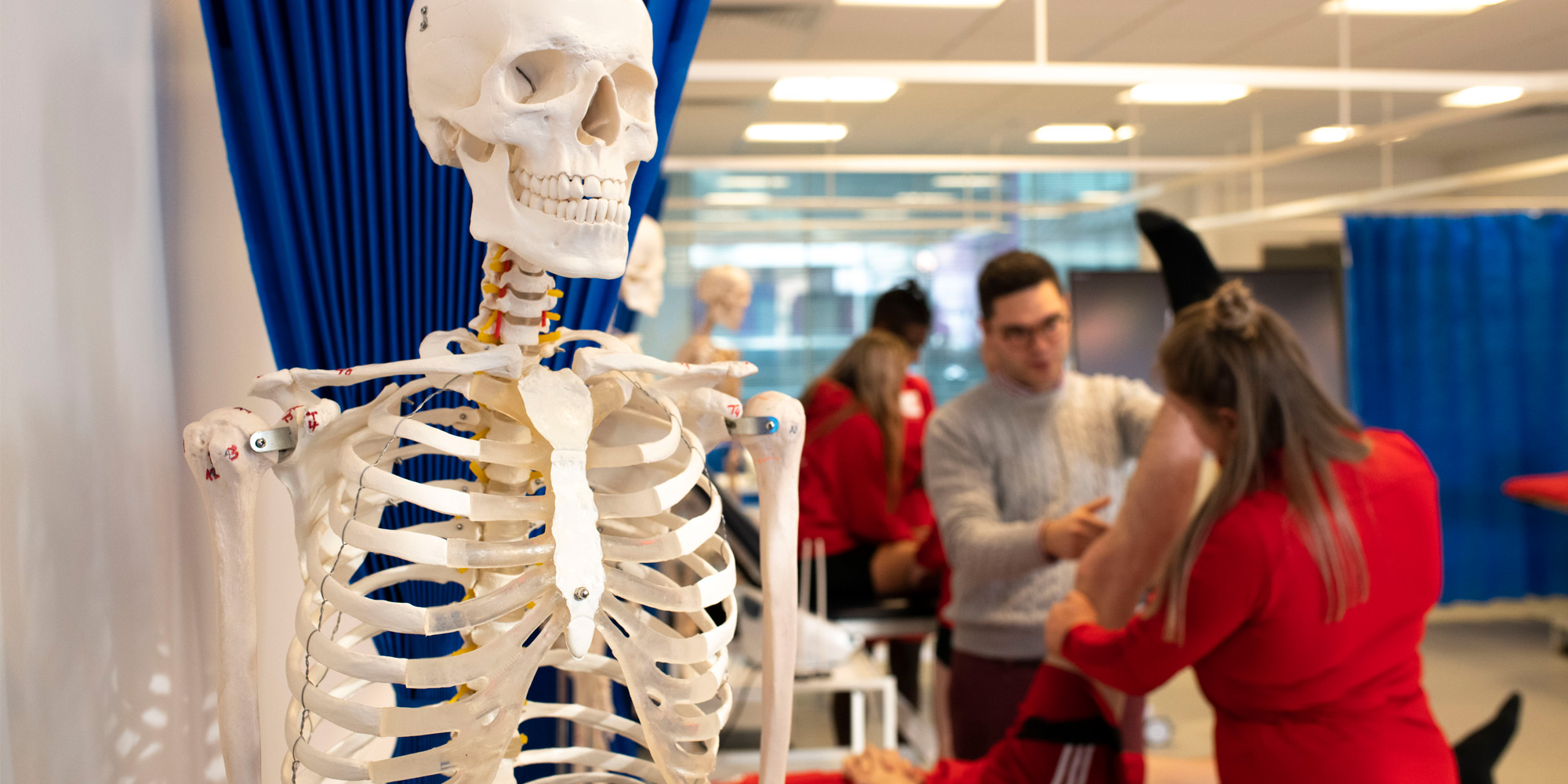 University of Staffordshire Courses