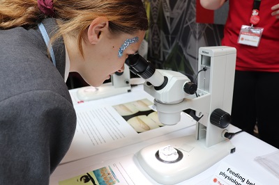 Student looks through a microscope during a hands-on science activity.