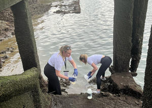 Students collecting samples 